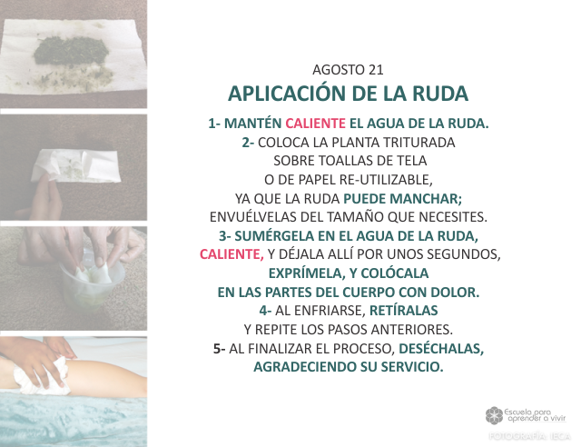 Aplicación de la ruda